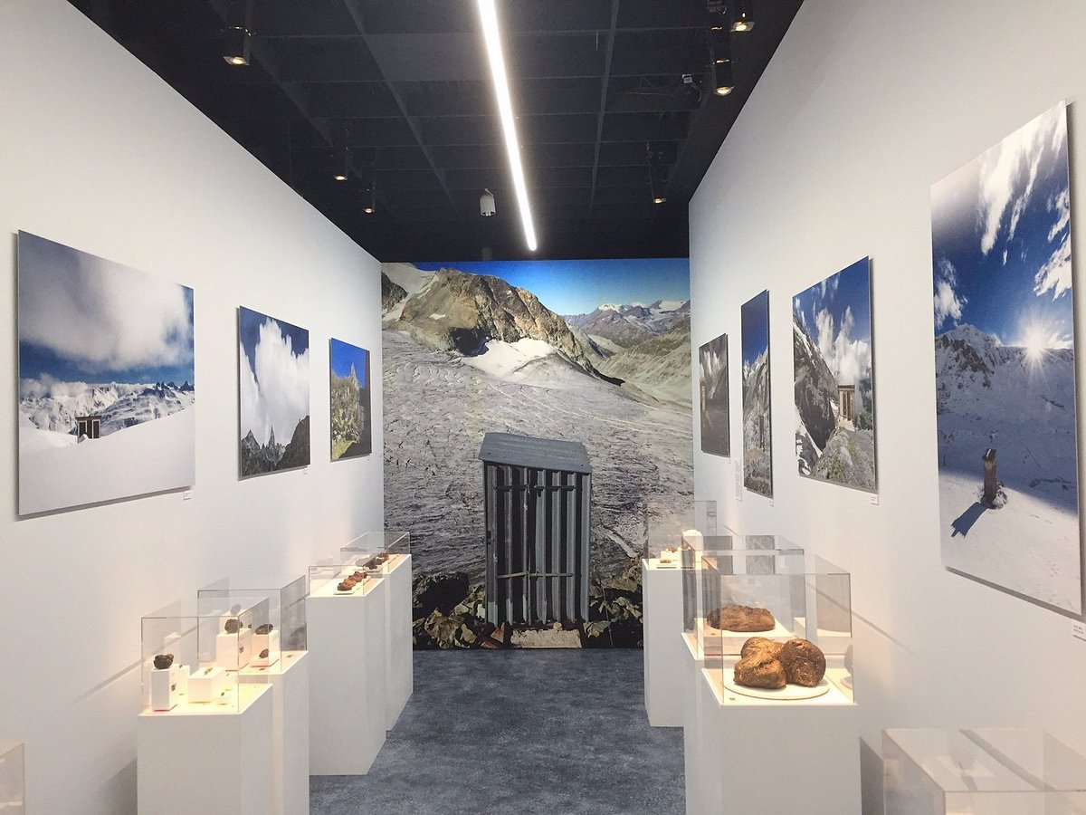 🏛️ 뇌샤텔 자연사 박물관 (뮈제 디스투아르 나튀렐 드 뇌샤텔)